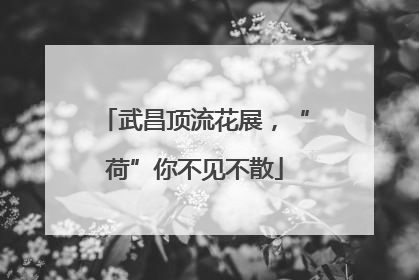 武昌顶流花展，“荷”你不见不散