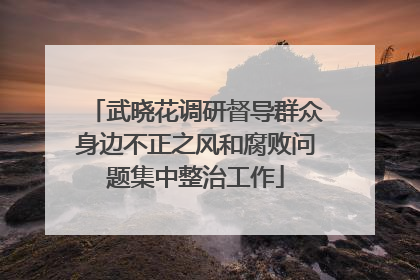 武晓花调研督导群众身边不正之风和腐败问题集中整治工作