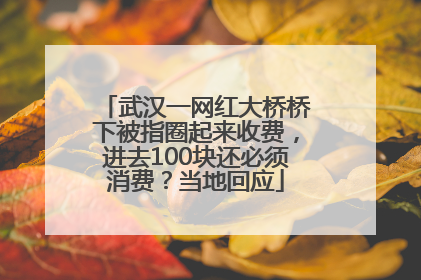 武汉一网红大桥桥下被指圈起来收费，进去100块还必须消费？当地回应