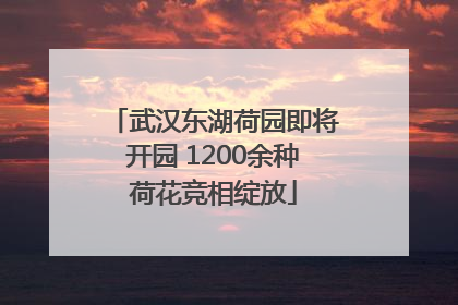 武汉东湖荷园即将开园 1200余种荷花竞相绽放