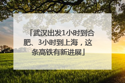 武汉出发1小时到合肥、3小时到上海，这条高铁有新进展