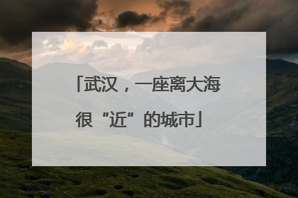 武汉，一座离大海很“近”的城市
