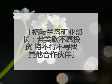 格陵兰岛矿业部长：若美欧不愿投资 将不得不寻找其他合作伙伴