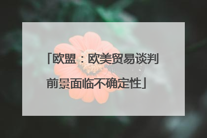 欧盟：欧美贸易谈判前景面临不确定性