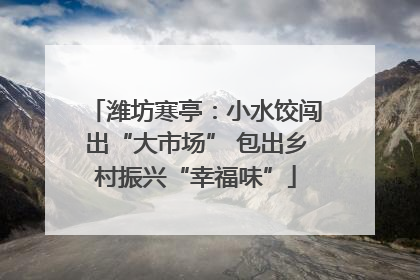 潍坊寒亭：小水饺闯出“大市场” 包出乡村振兴“幸福味”