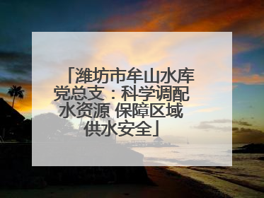 潍坊市牟山水库党总支：科学调配水资源 保障区域供水安全