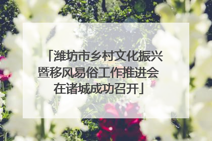 潍坊市乡村文化振兴暨移风易俗工作推进会在诸城成功召开