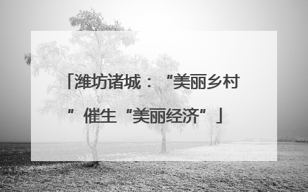 潍坊诸城：“美丽乡村”催生“美丽经济”