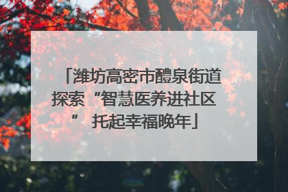 潍坊高密市醴泉街道探索“智慧医养进社区” 托起幸福晚年