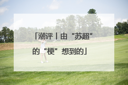 潮评丨由“苏超”的“梗”想到的