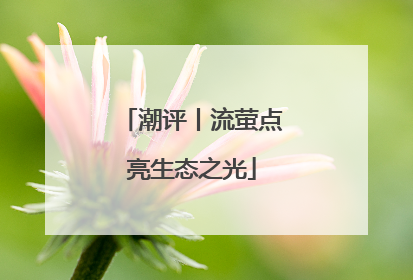 潮评丨流萤点亮生态之光