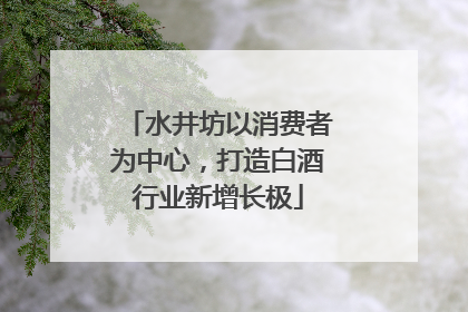 水井坊以消费者为中心，打造白酒行业新增长极