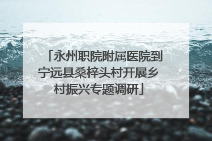 永州职院附属医院到宁远县桑梓头村开展乡村振兴专题调研