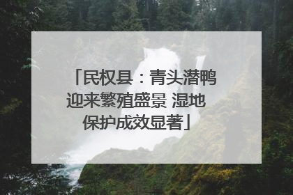 民权县：青头潜鸭迎来繁殖盛景 湿地保护成效显著