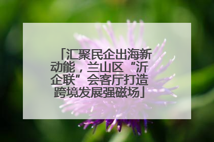 汇聚民企出海新动能，兰山区“沂企联”会客厅打造跨境发展强磁场