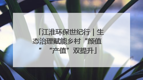 江淮环保世纪行｜生态治理赋能乡村“颜值”“产值”双提升