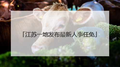 江苏一地发布最新人事任免