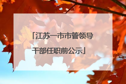 江苏一市市管领导干部任职前公示