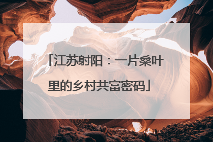 江苏射阳：一片桑叶里的乡村共富密码