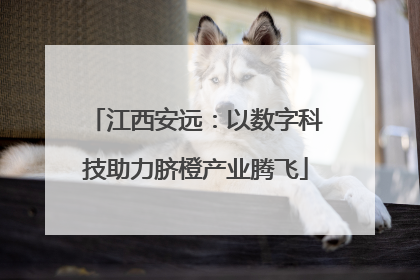 江西安远：以数字科技助力脐橙产业腾飞
