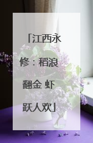 江西永修：稻浪翻金 虾跃人欢