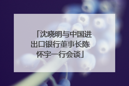 沈晓明与中国进出口银行董事长陈怀宇一行会谈
