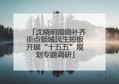 沈晓明围绕补齐重点领域民生短板开展“十五五”规划专题调研