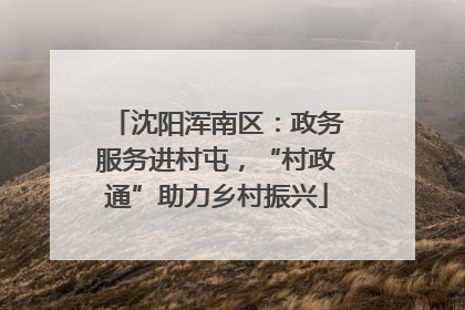 沈阳浑南区：政务服务进村屯，“村政通”助力乡村振兴