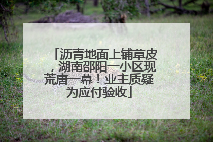 沥青地面上铺草皮，湖南邵阳一小区现荒唐一幕！业主质疑为应付验收