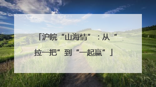 沪皖“山海情”：从“拉一把”到“一起赢”