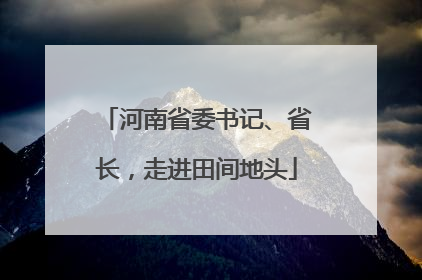 河南省委书记、省长，走进田间地头