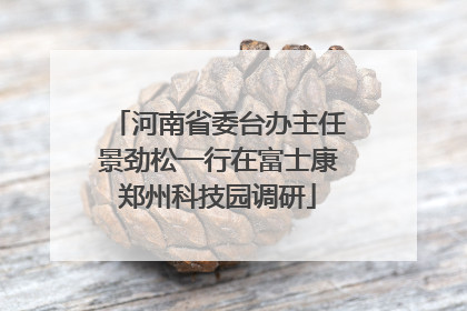 河南省委台办主任景劲松一行在富士康郑州科技园调研