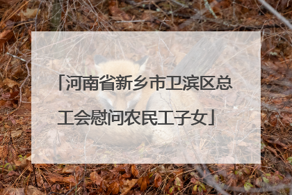 河南省新乡市卫滨区总工会慰问农民工子女