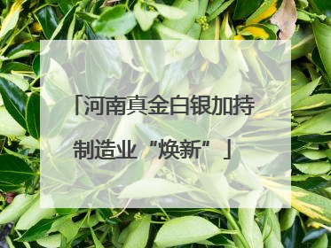 河南真金白银加持制造业“焕新”