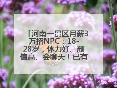 河南一景区月薪3万招NPC：18-28岁，体力好、颜值高、会聊天！已有1000多人应聘