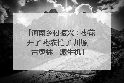 河南乡村振兴：枣花开了 枣农忙了 川塬古枣林一派生机