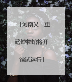 河南又一重磅博物馆将开馆试运行