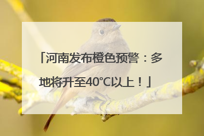 河南发布橙色预警：多地将升至40℃以上！