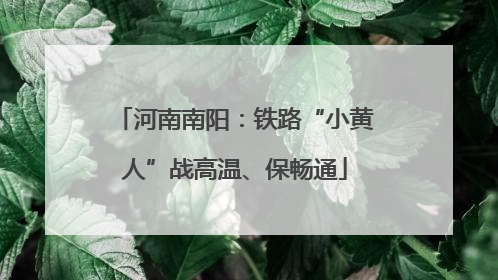 河南南阳：铁路“小黄人”战高温、保畅通