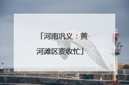 河南巩义：黄河滩区麦收忙