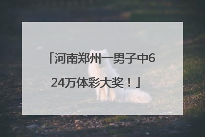 河南郑州一男子中624万体彩大奖！