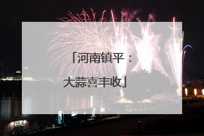 河南镇平：大蒜喜丰收