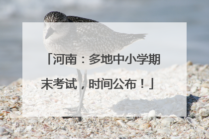河南：多地中小学期末考试，时间公布！