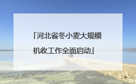 河北省冬小麦大规模机收工作全面启动