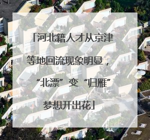河北籍人才从京津等地回流现象明显，“北漂”变“归雁” 梦想开出花