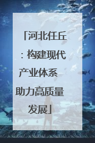河北任丘：构建现代产业体系 助力高质量发展