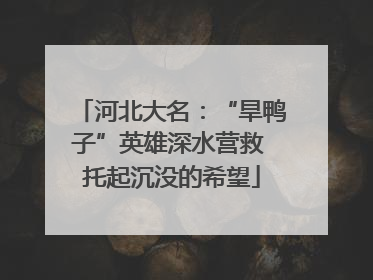 河北大名：“旱鸭子”英雄深水营救 托起沉没的希望
