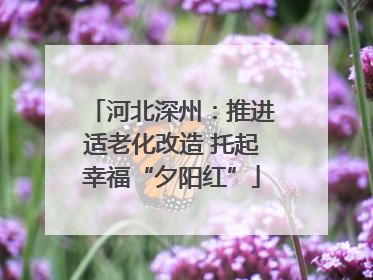 河北深州：推进适老化改造 托起幸福“夕阳红”