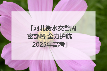 河北衡水交警周密部署 全力护航2025年高考
