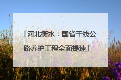 河北衡水：国省干线公路养护工程全面提速